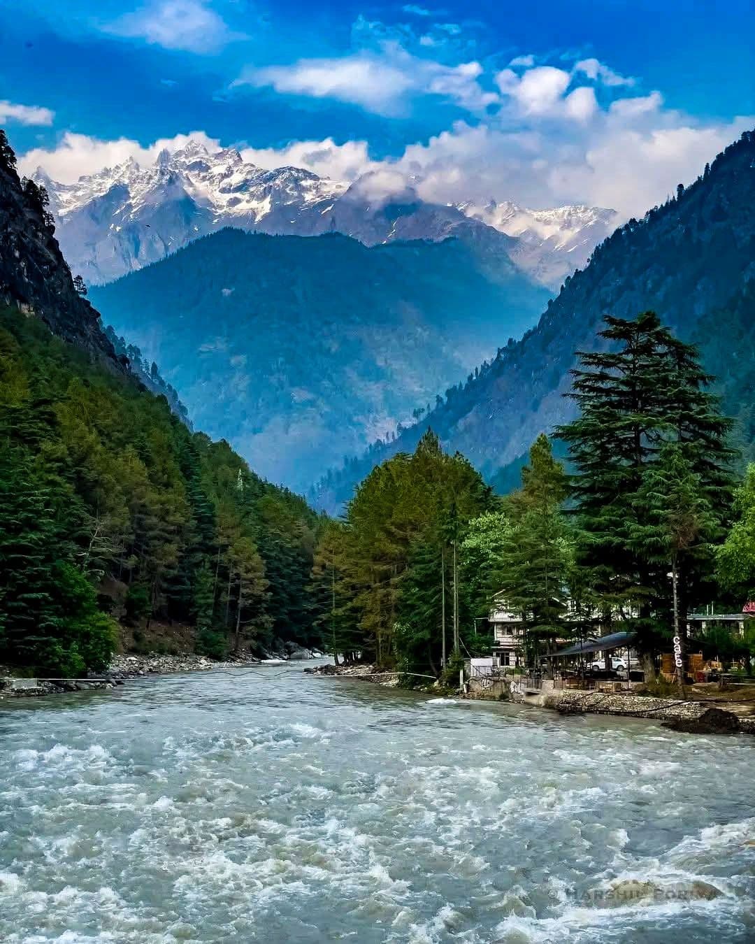 Kasol village on the banks of Parvati River, surrounded by pine forest