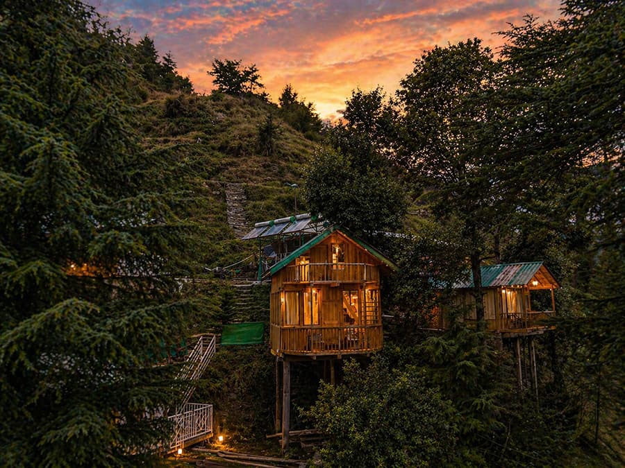 Cliffhaven Treehouse