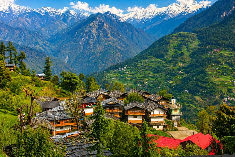 Bahu — treehouse stay in Jibhi