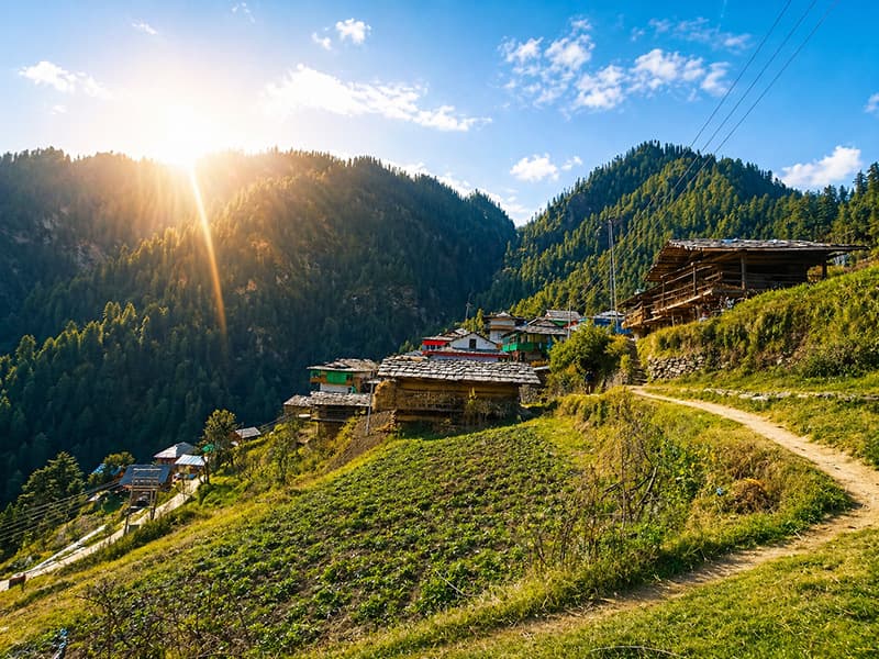 Tandi — treehouse stay in Jibhi