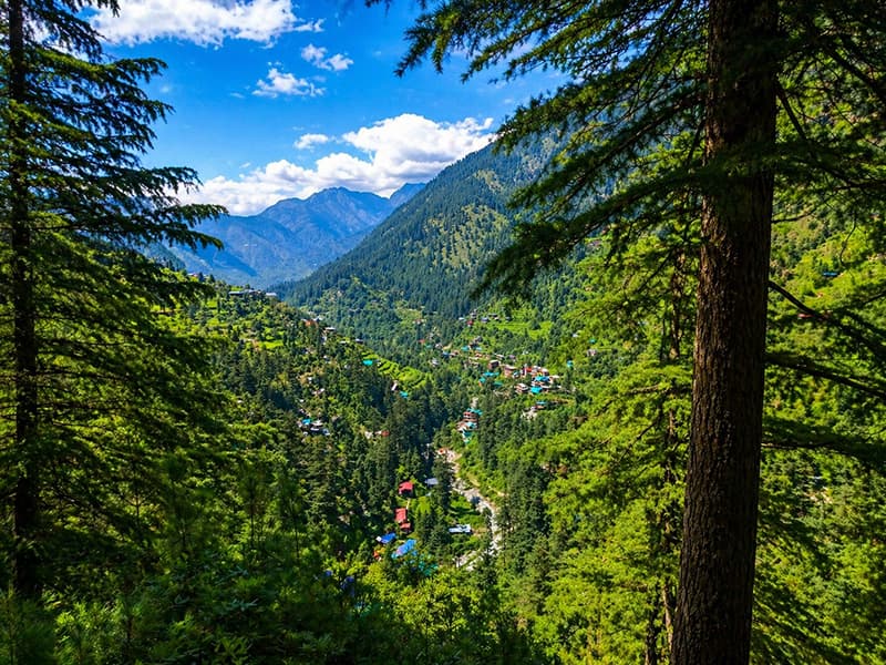 Jibhi Village — treehouse stay in Jibhi