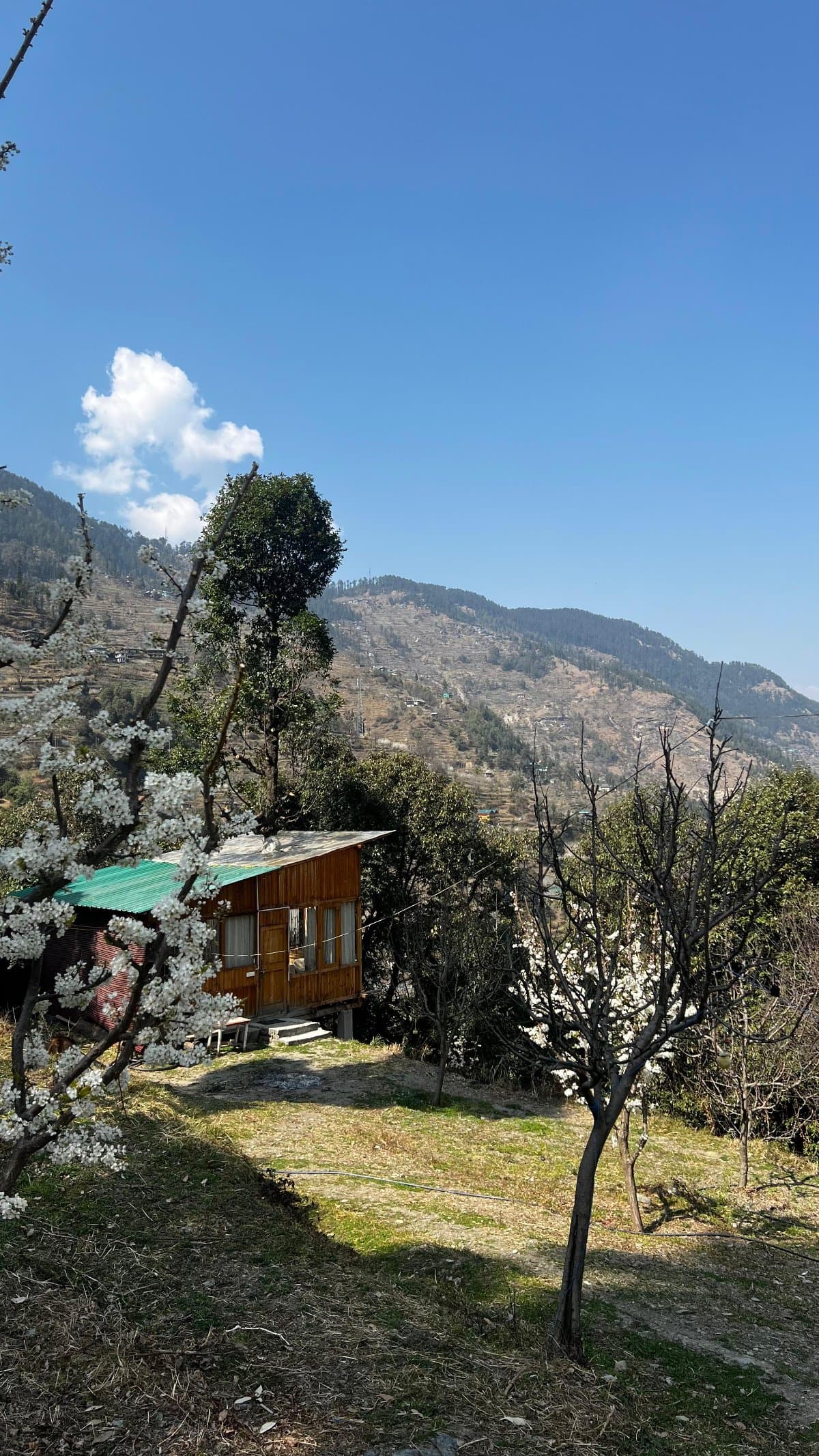 wanderlust treehouse — photo 1