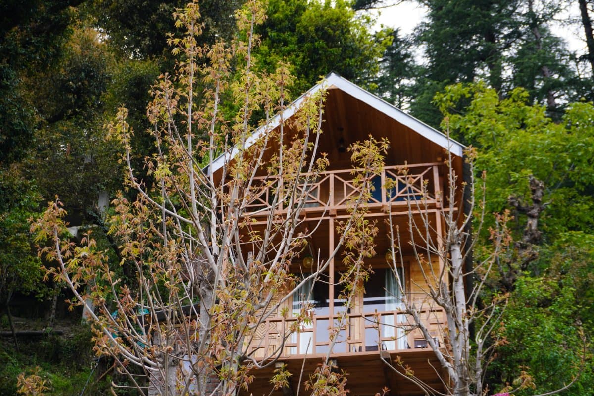 woodland treehouse — photo 1