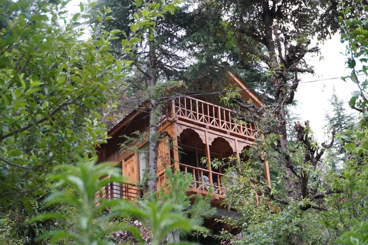 heaven fo nature treehouse — photo 1