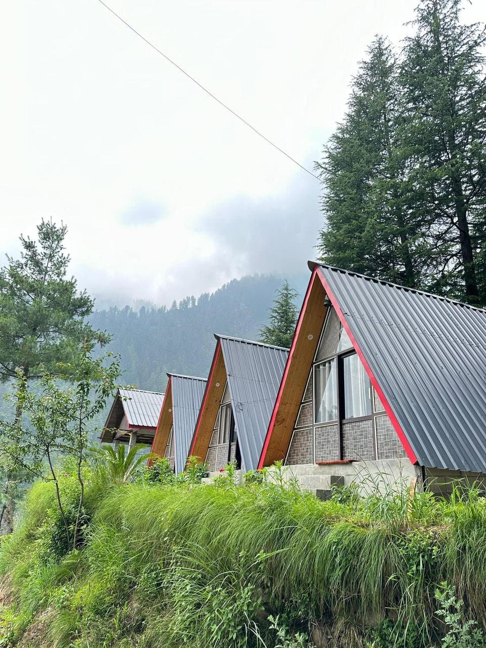 woodtrail cottages — photo 4