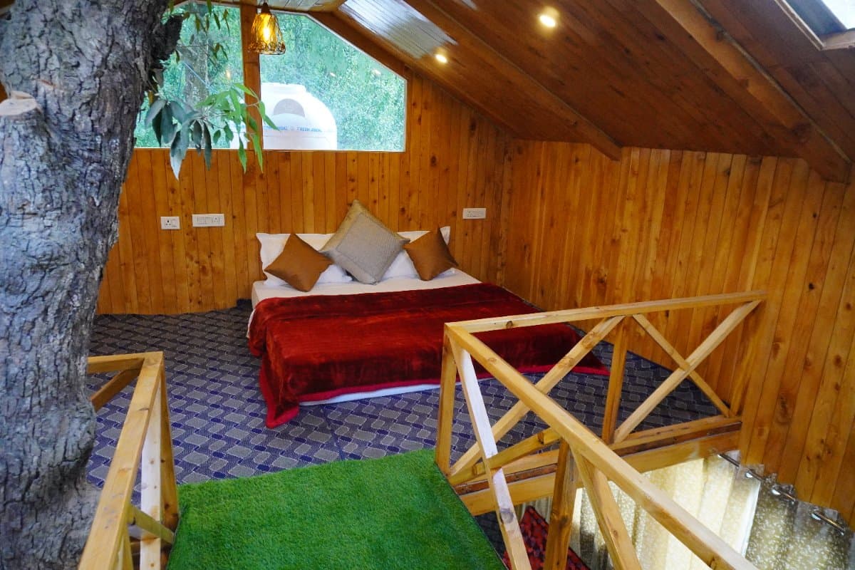 treehouse narhan — photo 5