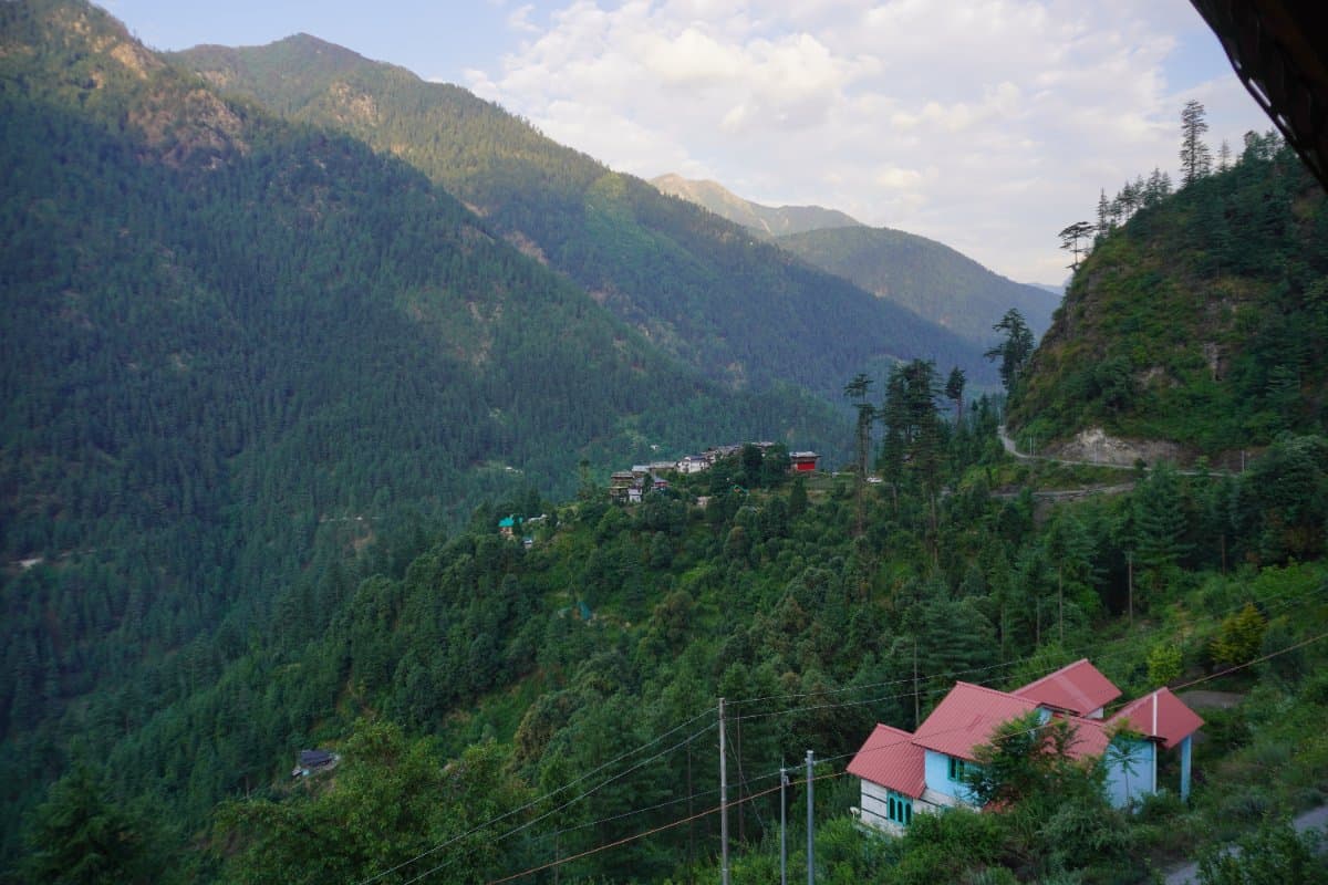 treehouse narhan — photo 2