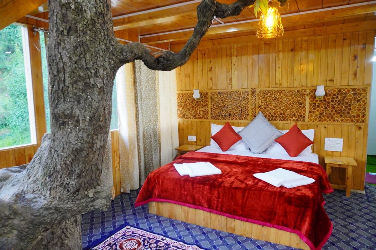 treehouse narhan — photo 4