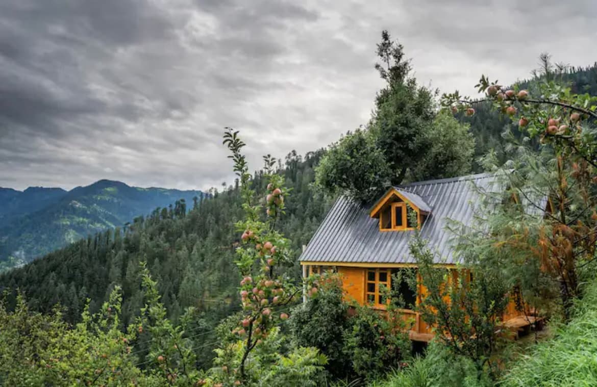 swastika treehouse — photo 1