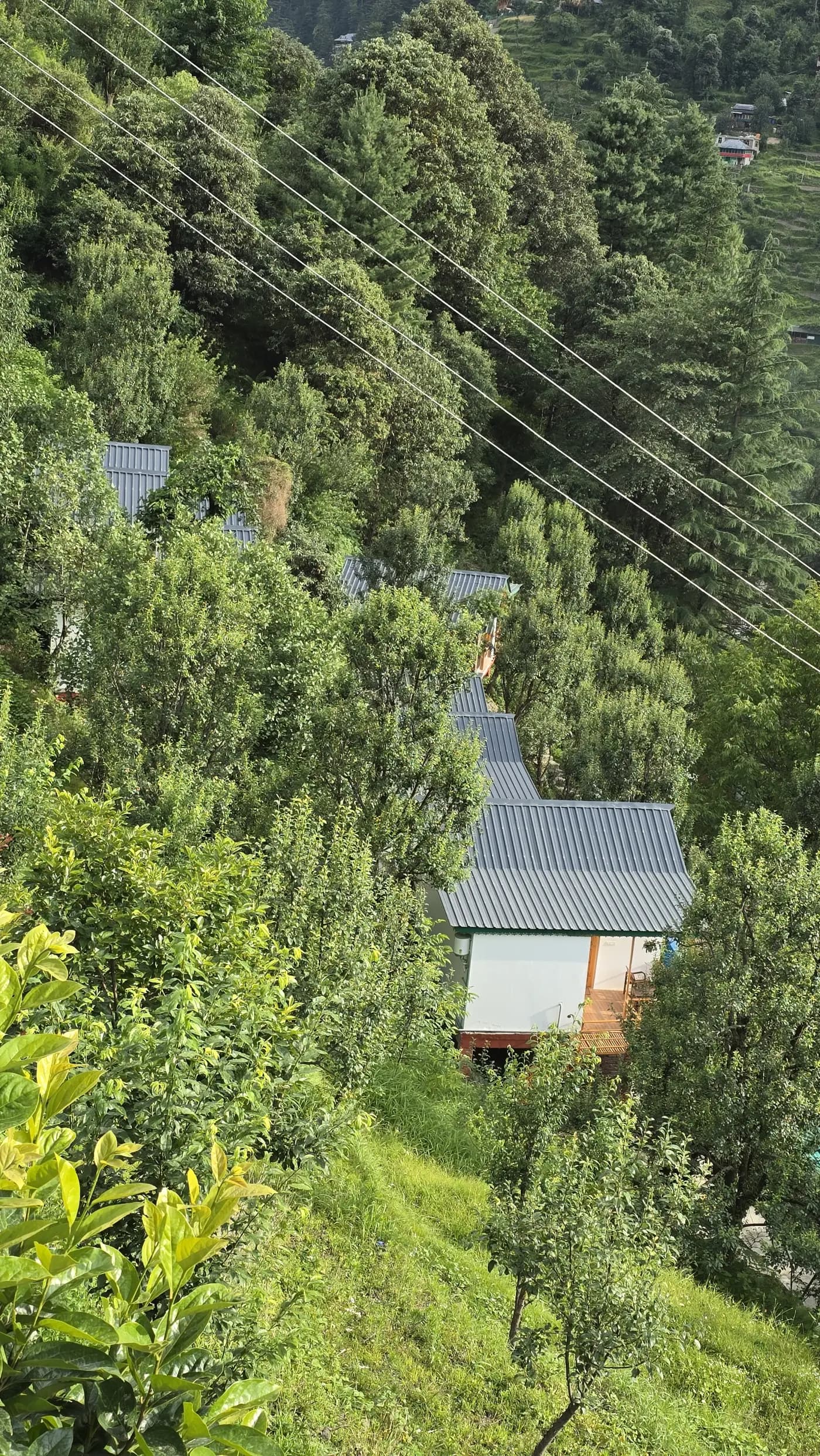 Acoustic Himalaya Cottages