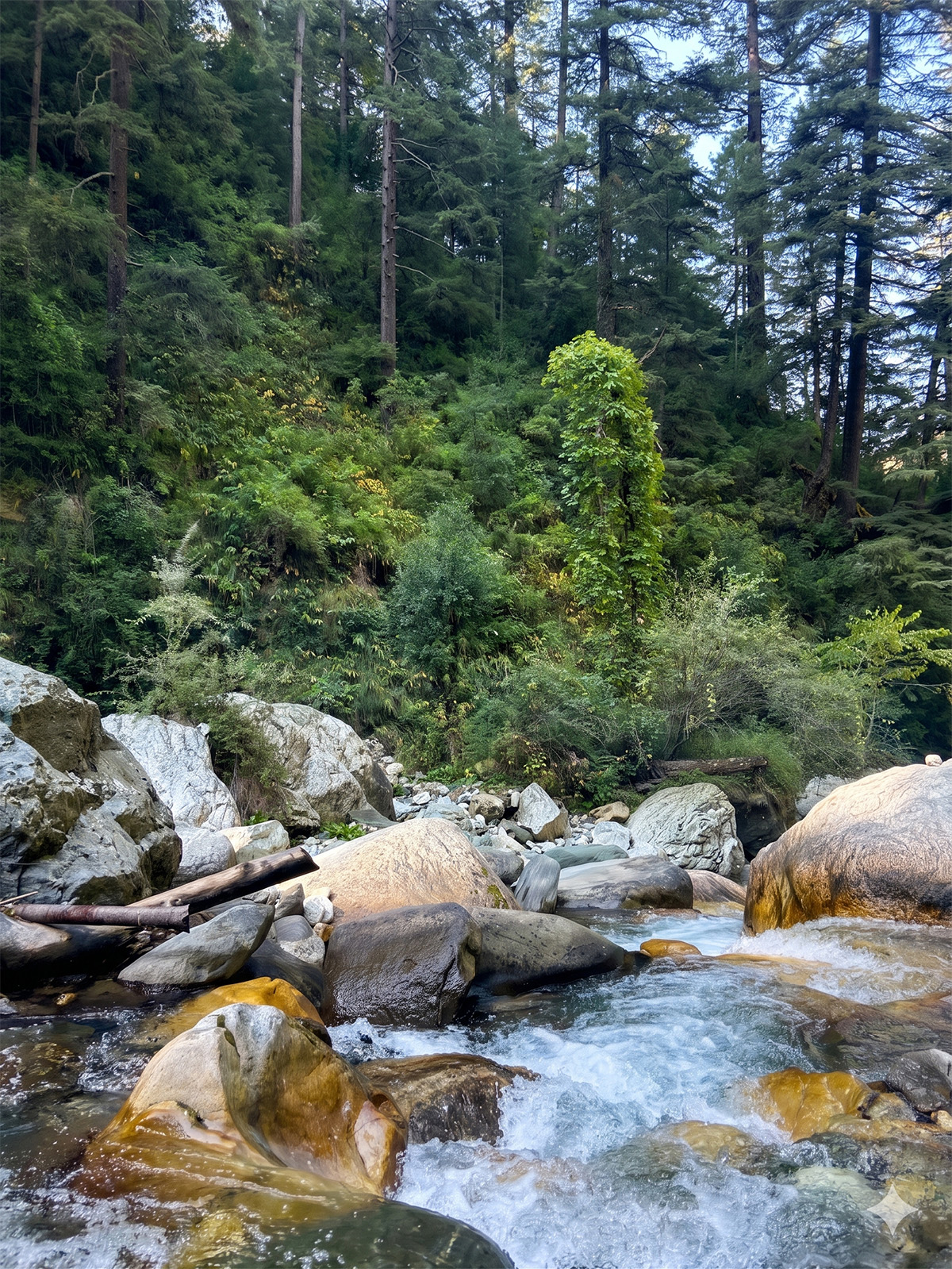 Kulhi Katandi stream pool — clear water flowing over smooth boulders in a shaded forest, Jibhi Mini Thailand